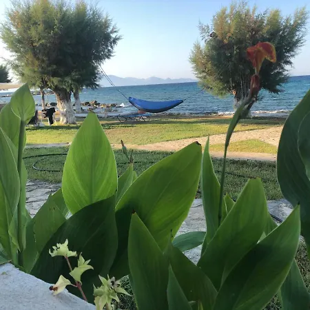Apartament Diomare *